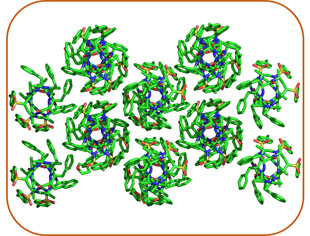 Supramolecular Chemistry