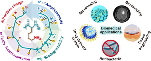Bioactive Mat. 2021
