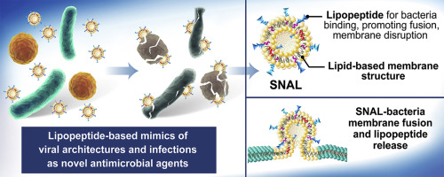 Bioactive Mat. 2021