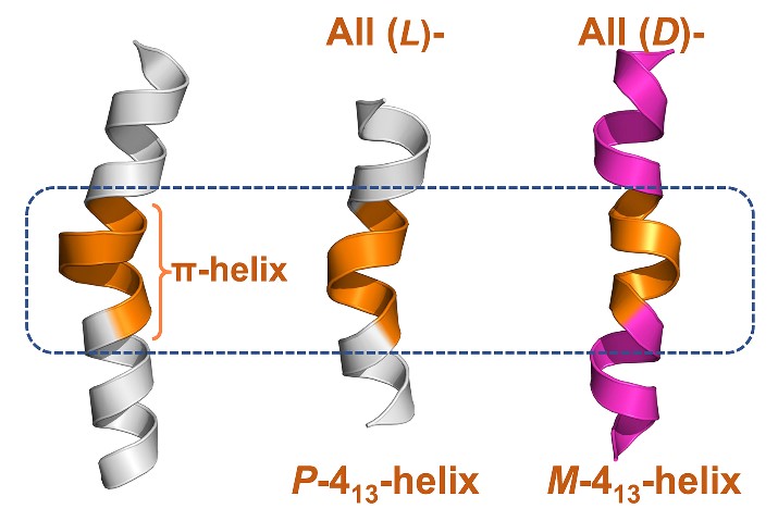 Commun. Chem. 2021