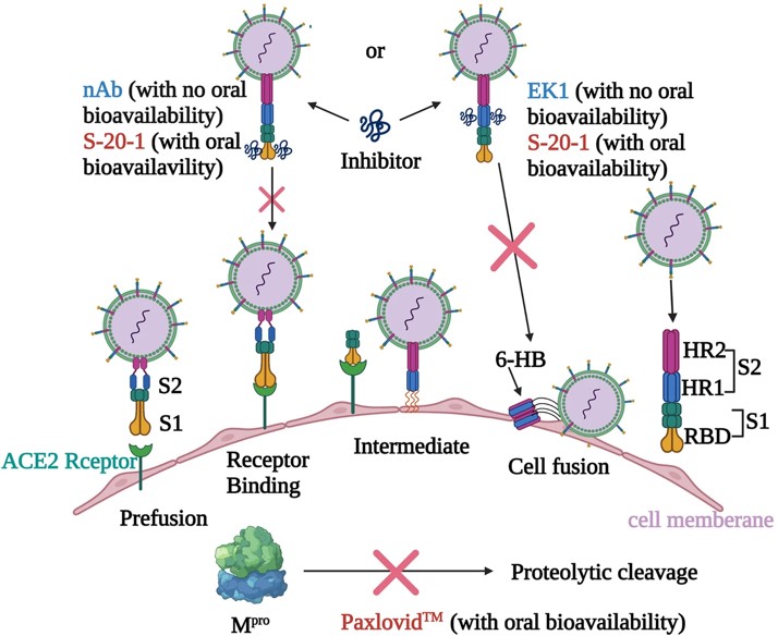 Cell Discov 2022 Figure