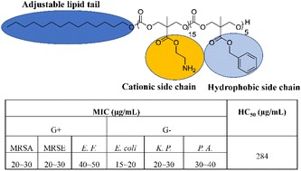 Biomater Sci 2023 Figure