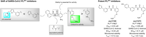 Eur. J. Med. Chem. Figure