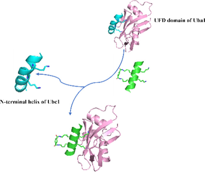 JMC 2023 Figure