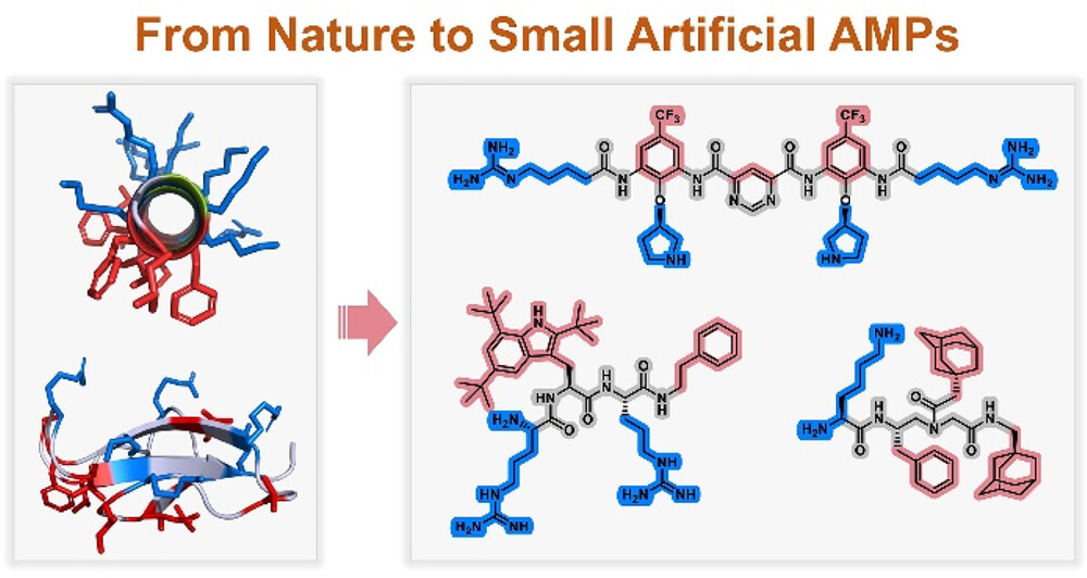 JMC 2023 Figure